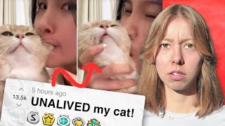 My husband’s convinced I unalived the cat…but it was dying anyway! | Reddit Stories
