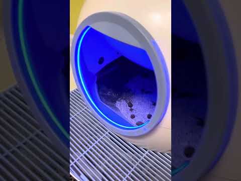 Els Pet Litter Box Not Working