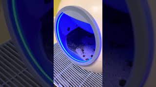 Els Pet Litter Box Malfunction