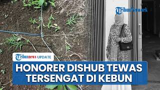 Honorer Dishub Kepahiang Tewas Tersengat Listrik di Kebun Warga, Keluarga Sebut HP Hilang