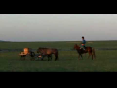 Stranded In Mongolia Merged Tribe