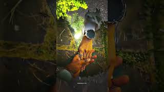 Download lagu Neeyum enna neengi pona🖤🐾//Orasaadha usuraththaan💚🦋song love WhatsApp status 🥰💝 mp3 Download lagu Neeyum enna neengi pona🖤🐾//Orasaadha usuraththaan💚🦋song love WhatsApp status 🥰💝 mp3