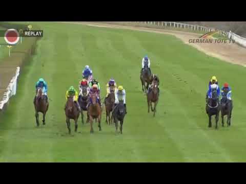 Preis der Fa. Jean Harzheim Pferdetransporte