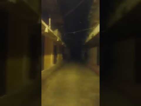 Palometa peluda ataca el municipio cajigal Yaguaraparo Edo-Sucre...