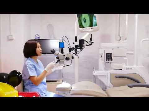 L 0955 SD Portable Motorized Focus Microscope