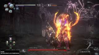[Nioh 2] Tokichiro (Dream) paralysis bug revisit