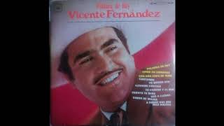 Vicente Fernández - Amor En Sombras