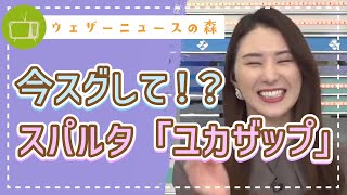 ダイエットは明日から!?ダメです、今すぐして私に報告してください【白井ゆかり】【切り抜き】ウェザーニュースの森【ウェザ森】