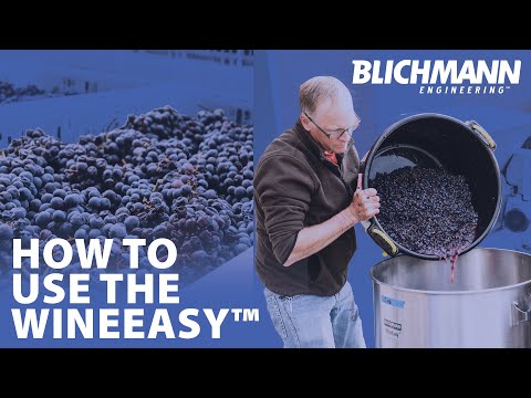 download lagu mp3 mp4 Wine Easy, download lagu Wine Easy gratis, unduh video klip Wine Easy