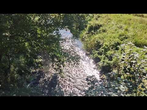 Bachgeflüster - Sounds of Nature - Lausche dem leisen Geplätscher eines Baches - Naturgeräusche ASMR