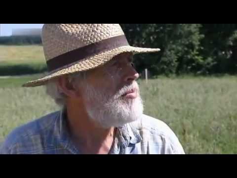 Unscheinbare Früchtchen: Linsen (1)