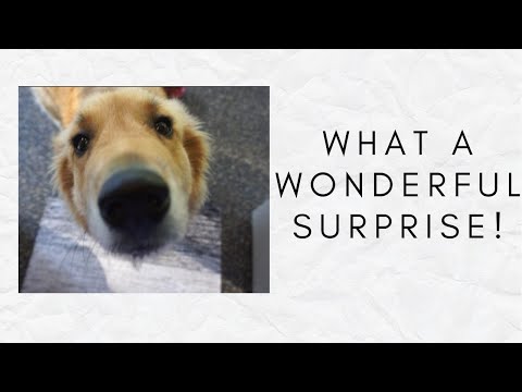 Vernon British Columbia - Must See Lakes - Kekuli Bay