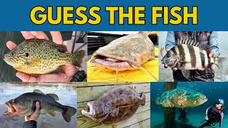 Guess the Fish by the picture! | Fishermen Quiz Challenge