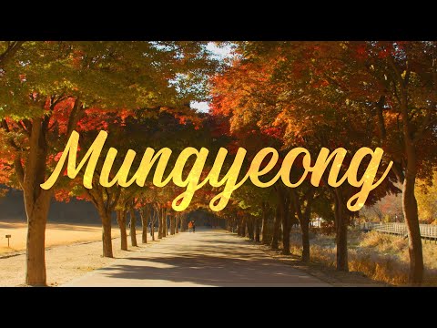 Peak Fall Foliage in Mungyeong (Experience Autumn in Korea), 랜선 문화 여행- 단풍에 물든 문경