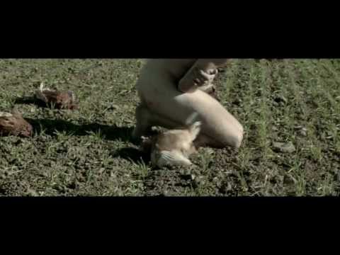 download lagu mp3 mp4 Svin Band, download lagu Svin Band gratis, unduh video klip Svin Band