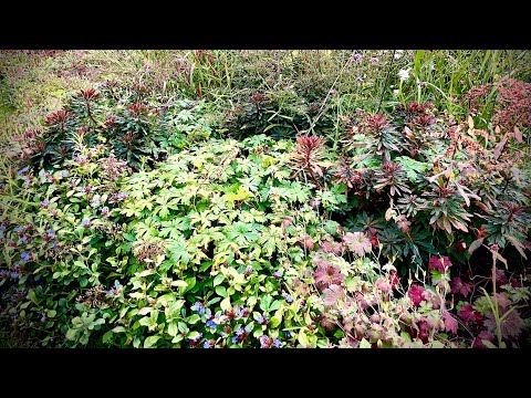 Mischstaudenbepflanzung