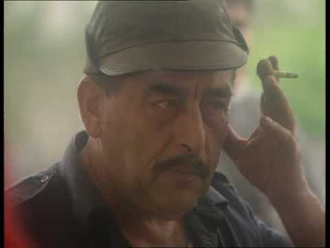 JANCIS ROBINSON Shiraz