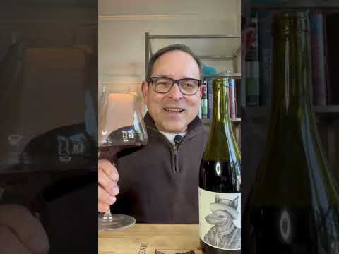 Castel Pujol Folklore Tinto  Rivera Uruguay Tannat '23 93 Points #uruguay #tannat #shorts