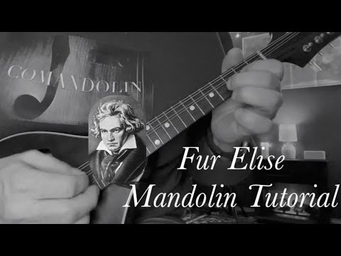 Easy Classical Mandolin Tutorial: “Fur Elise”