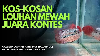 Download lagu REVIEW OF ALL LOUHAN AT KANG MUS' HOUSE mp3 Download lagu REVIEW OF ALL LOUHAN AT KANG MUS' HOUSE mp3