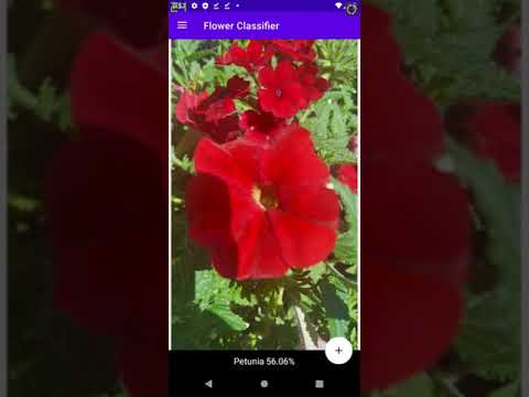 Flower Classifier Video
