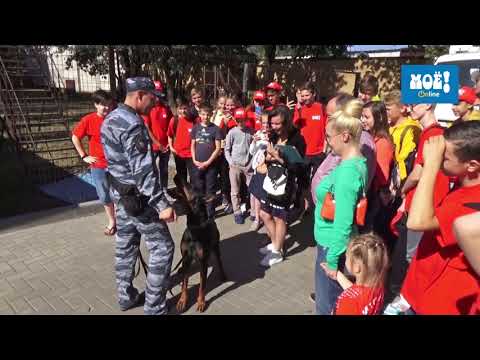 Юные газетчики за лето собрали на помощь тяжело больным детям 56 700 рублей