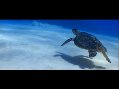 Side Liner & Zero Cult feat. Kerensa Stephens [Mix]