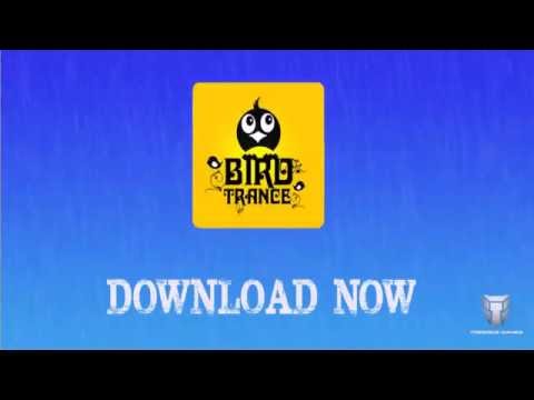 Bird Trance Video