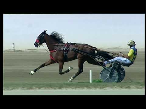 Napoli Trotto 07/09/2021 - 1ª corsa