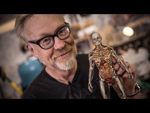 Inside Adam Savage’s Cave: Human Anatomy Model!