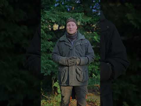 Schwarzwild im Jahresverlauf: Besonderheiten für die Jagd 🐗🌿 - Frag den Jäger