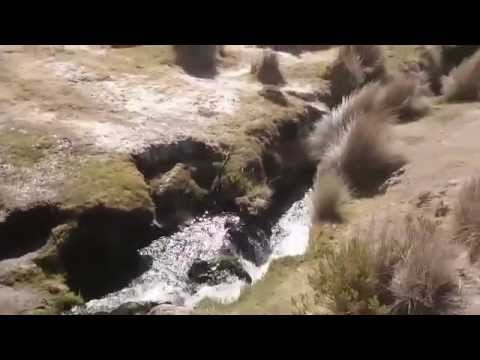 Sajama National Park Geysers in action