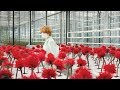 LITTLE JOE Official Trailer Englisch Deutsch Französisch