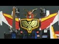 Brave Fighter Of Sun Fighbird Great Fighbird