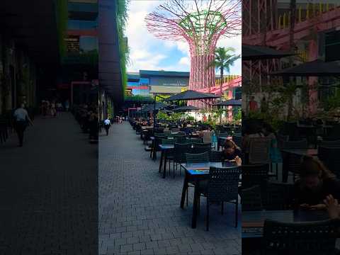 Singapura Shopping, Caldas Novas/GO.