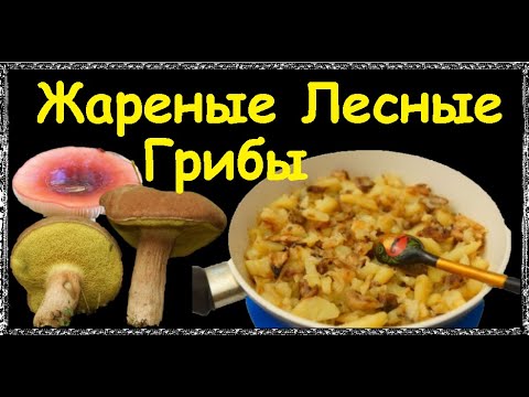 Жареные Лесные Грибы / Книга Рецептов / Bon Appetit