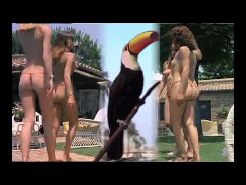 Mushrooms Project - Rivea Corymbosa