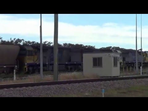 XRN's GLENCORE COAL TRAIN