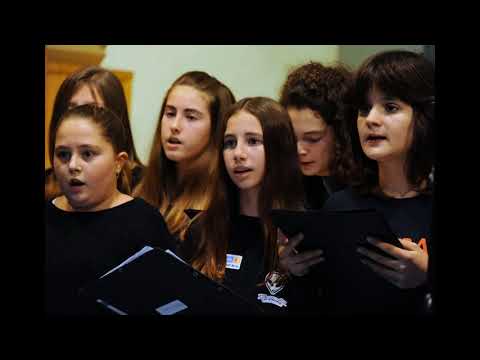 La Coral i l'Ensemble del Lladonosa inauguren el Nadal 2017