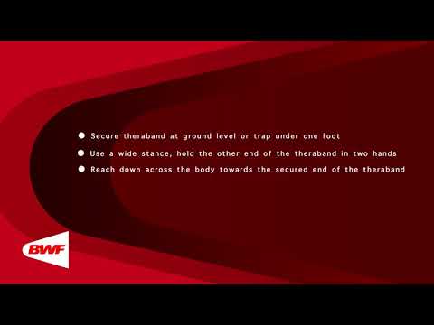 CE2M8V64 Theraband Exercises - Low to High Chops