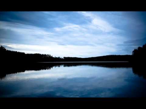 Adiva_feat__Vicky_Fee_-_How_Does_It_Feel__with_lyrics___Myon___Shane_Remix_.avi