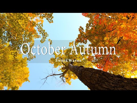 11 HRS Incredible Fall Foliage - Best 4K Autumn Nature Scenes from Around the World + Calming Music