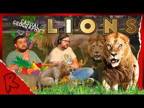 From Cub to King: A Lion's Survival Guide (ft. TierZoo) - @mndiaye_97 | RENEGADES REACT