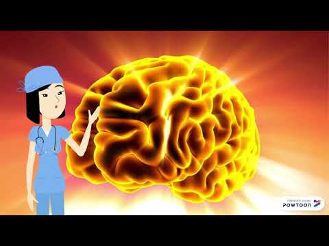 Afasia no fluente mixta