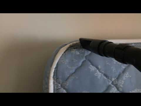 Bed Bugs Sleeping With Tenants in Asbury Park, NJ