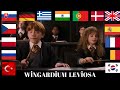 Hermione Granger WİNGARDİUM LEVİOSA HARRY POTTER DIFFERENT LANGUAGES