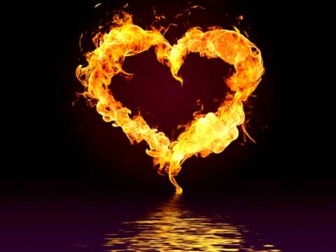 Zamjo feat C-ONE Bis zum Schluss