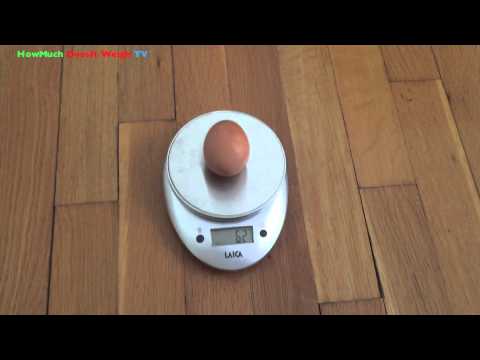 download lagu mp3 mp4 Weight Of One Egg, download lagu Weight Of One Egg gratis, unduh video klip Weight Of One Egg