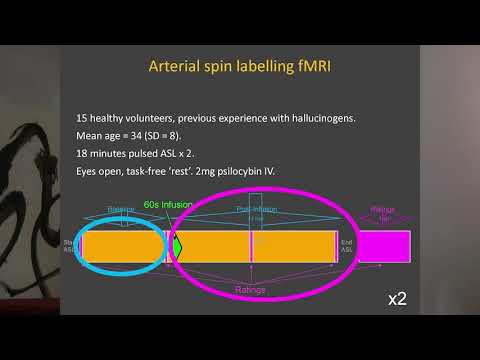 Dr Robin Carhart-Harris - Psychedelics and Brain Imaging