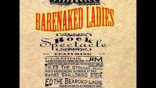 Barenaked Ladies - Break Your Heart - Rock Spectacle